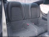 Miniaturka zdjęcia 8