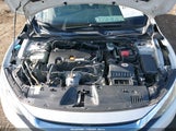 Honda Civic Lx 2HGFC4A58HH310215 снимка