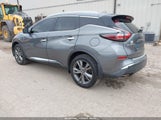 Miniaturka zdjęcia 3
