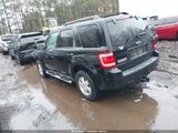 Ford Escape Xlt 1FMCU031X8KC82312 снимка
