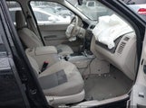 Ford Escape Xlt 1FMCU031X8KC82312 снимка