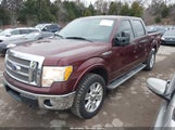 Ford F-150 Fx4/Harley-Davidson/King Ranch/Lariat/Platinum/Xl/Xlt 1FTFW1EV8AFD87771 photo