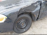 Miniaturka zdjęcia 6