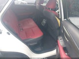 Miniaturka zdjęcia 8