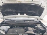 Miniaturka zdjęcia 10