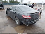Miniaturka zdjęcia 3