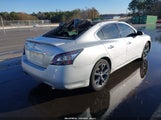 Nissan Maxima 3.5 Sv 1N4AA5AP5EC443282 снимка