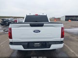 Ford F-150 Stx 1FTEX2KP6RKF37450 photo