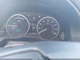 Miniaturka zdjęcia 7
