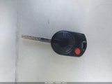 Miniaturka zdjęcia 11