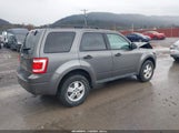 Ford Escape Xlt 1FMCU9D72BKA31041 fotografie