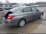 Miniaturka zdjęcia 4