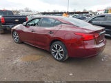 Nissan Maxima 3.5 Platinum/3.5 S/3.5 Sl/3.5 Sr/3.5 Sv 1N4AA6AP5HC367931 photo