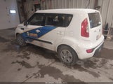 Miniaturka zdjęcia 3