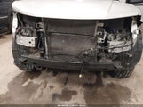 Miniaturka zdjęcia 6