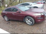 Honda Crosstour Ex-L 5J6TF1H52CL005795 снимка