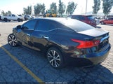 Nissan Maxima 3.5 Platinum/3.5 S/3.5 Sl/3.5 Sr/3.5 Sv 1N4AA6AP6GC390102 снимка