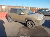 Hyundai Tucson Gls/Lx KM8JN72D95U142387 fotografie