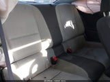 Miniaturka zdjęcia 8