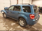 Ford Escape Xlt 1FMCU03G29KA51734 снимка