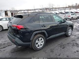 Toyota Rav4 Le 2T3G1RFV4KC055120 снимка