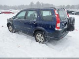 Miniaturka zdjęcia 3