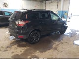 Miniaturka zdjęcia 4