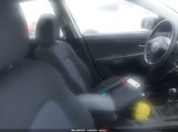 Miniaturka zdjęcia 5