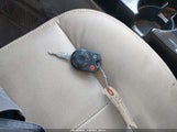 Miniaturka zdjęcia 11