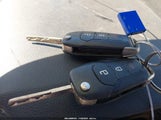 Miniaturka zdjęcia 11