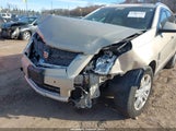 Cadillac Srx Luxury Collection 3GYFNDEY6AS636220 снимка
