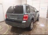 Ford Escape Xlt 1FMCU0DG5BKA60805 fotografie
