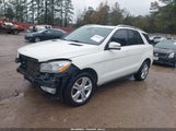 Mercedes-Benz Ml 350 4Matic 4JGDA5HB5DA247463 снимка
