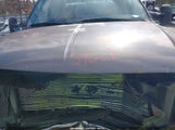 Ford F-250 Lariat/Xl/Xlt 1FTNW21P63EC93633 снимка
