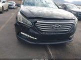 Hyundai Sonata Sport 5NPE34AF3GH268190 снимка