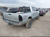 Toyota Tacoma Prerunner V6 3TMJU62N36M012380 photo