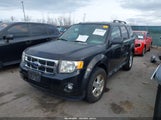 Ford Escape Xlt 1FMCU0DG6BKA26162 снимка