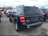 Ford Escape Xlt 1FMCU0DG6BKA26162 fotografie