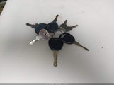Miniaturka zdjęcia 11
