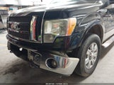 Ford F-150 Fx4/King Ranch/Lariat/Platinum/Xl/Xlt 1FTPW14V99FB03095 photo