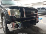 Ford F-150 Fx4/King Ranch/Lariat/Platinum/Xl/Xlt 1FTPW14V99FB03095 снимка