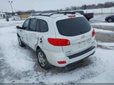 Miniaturka zdjęcia 3