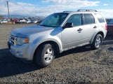 Ford Escape Xlt 1FMCU93G29KC46396 снимка