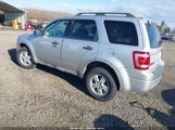 Ford Escape Xlt 1FMCU93G29KC46396 снимка