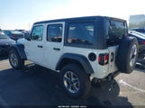 Jeep Wrangler Unlimited Sport S 4X4 1C4HJXDN1KW617244 fotografie