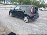 Miniaturka zdjęcia 3