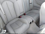 Miniaturka zdjęcia 8