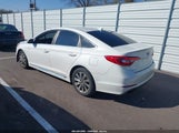 Hyundai Sonata Sport 5NPE34AF7HH576125 снимка