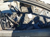 Miniaturka zdjęcia 5