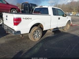 Ford F-150 Xlt 1FTFX1EF4CFB05375 fotografie